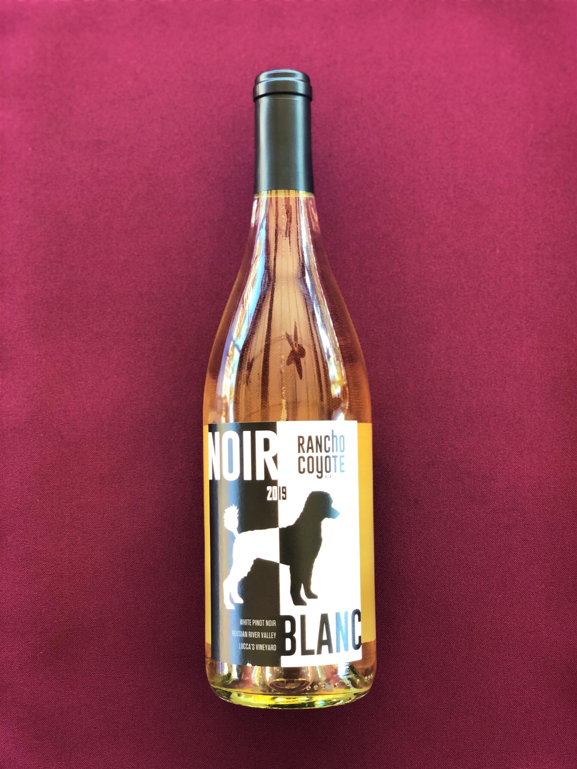 Rancho Coyote Vineyards 2019 Pinot Noir Blanc Cafe Coyote